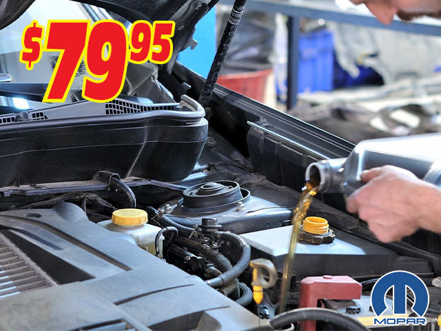 Oil & Filter Change Special